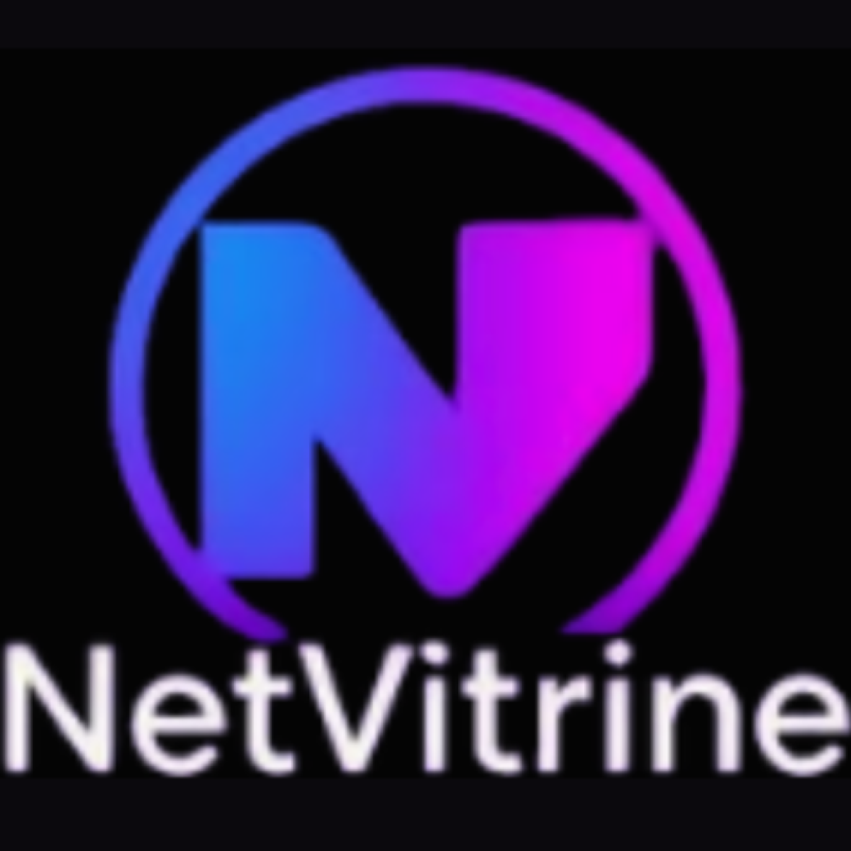 Logo NetVitrine - Copia
